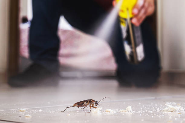Trusted Oak Ridge, NJ Pest Control Experts