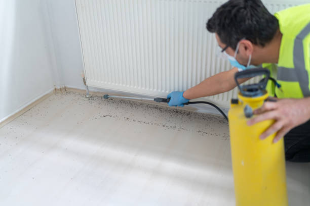 Best Residential Pest Control  in Oak Ridge, NJ